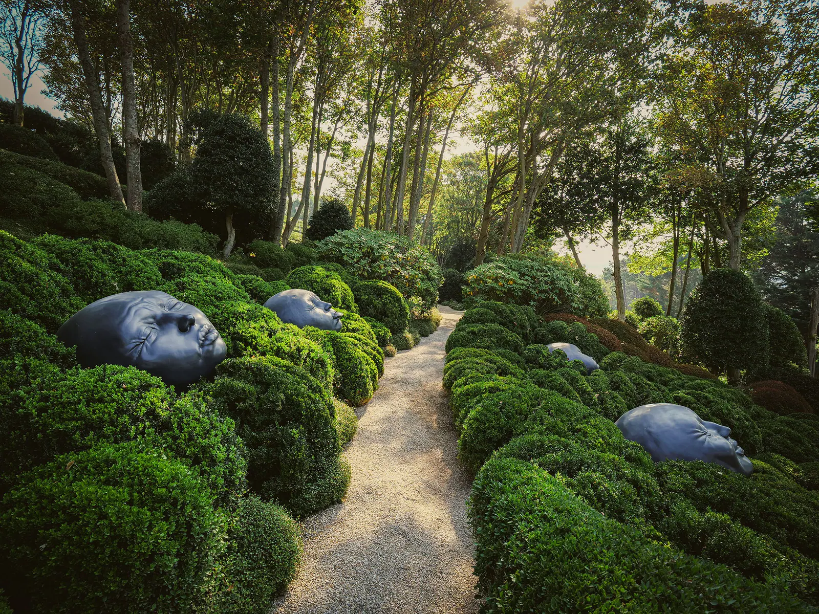 Allée boisée bordée de buissons taillés et sculptures têtes grises, paysage forestier verdoyant